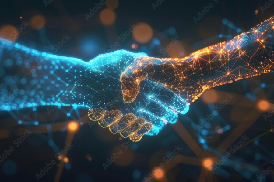 Principios de Atuação